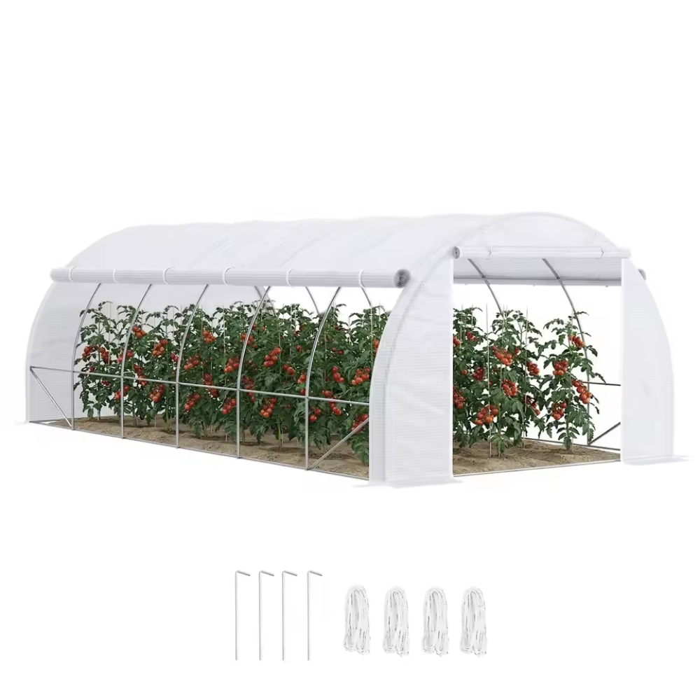 Serre tunnel 18 m² de jardin en acier galvanisé – 6 × 3 × 2 m