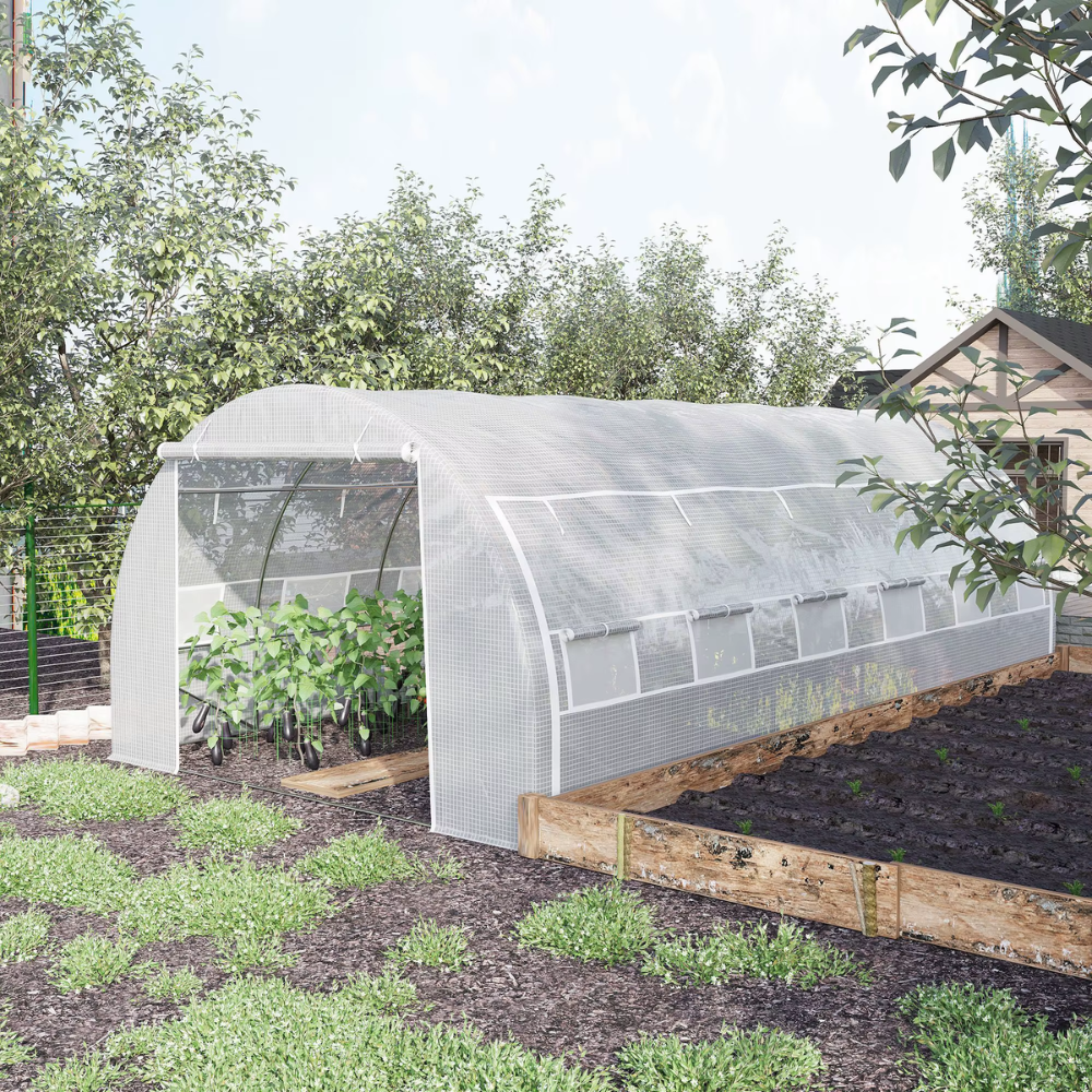 Serre tunnel 18 m² de jardin en acier galvanisé – 6 × 3 × 2 m